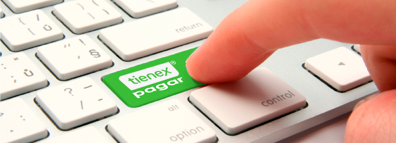 Pago en Linea